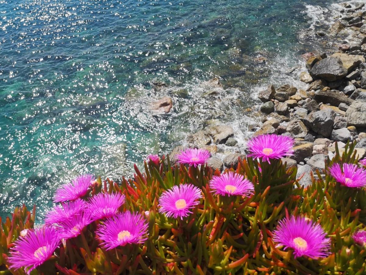 Pink House Garden Hotel Monterosso al Mare Exterior photo