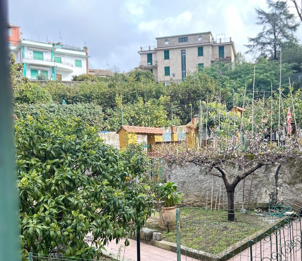 Pink House Garden Hotel Monterosso al Mare Exterior photo